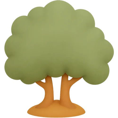 A personalized children's book adventure Into the Forest